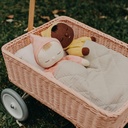 OllieEllaWonderWagonRose2.jpg