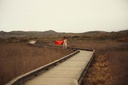 GiantFire2_r_1200x.jpg
