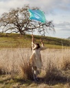 MiniEnchanted8_1200x.jpg