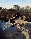 MiniKelpForestPlaysilk1_800x.jpg