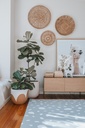 NaturSage_LivingRoom_1199x1800.png