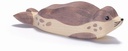 2253 Seehund liegend_1920x1920.jpg