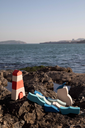 1K2A5465.webp