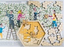 Shared Image 10.webp