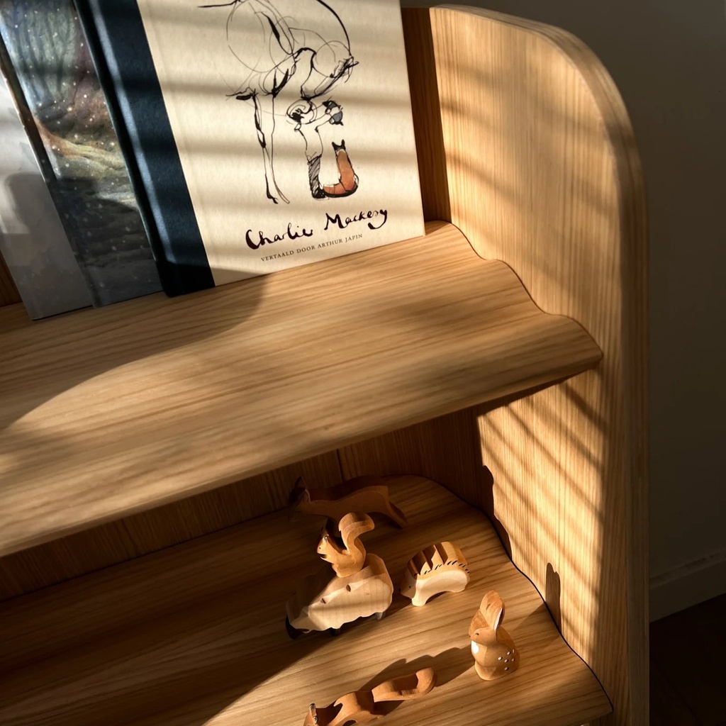 CurveyBookcaseCurvelabmontessori_1600x.png.webp