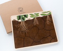 Shared Image 13.webp