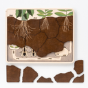 Shared Image 11.webp