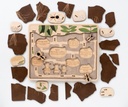 Shared Image 12.webp