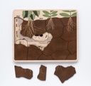 Shared Image 15.webp