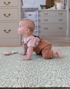 WILLOWBOUGHSMAINproductcrawlingbaby_85952576-9ee9-4b76-87f0-adfc1a4cdcaa.png