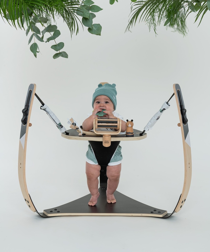 LITTLE HOPPA ® BABY BOUNCER - Mono Mountains