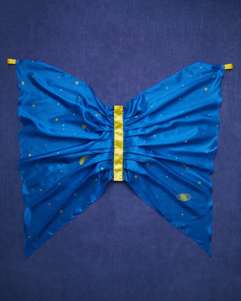 Wings - Starry Night
