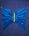 Wings - Starry Night