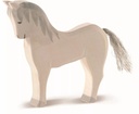 Horse white