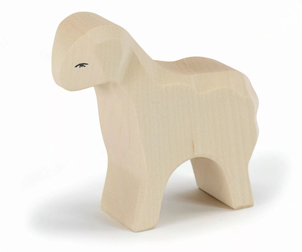Sheep standing