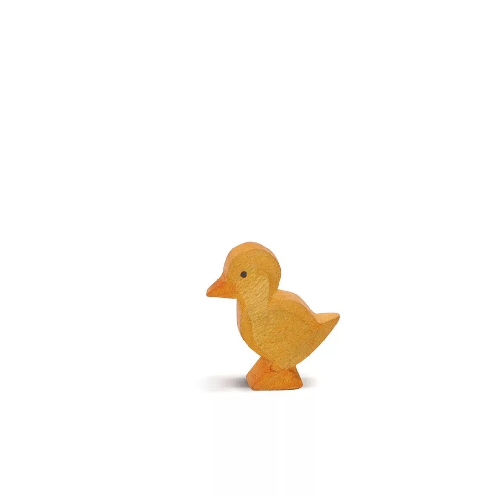 فرخ بط