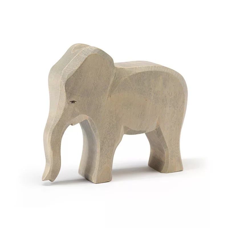 Elephant cow