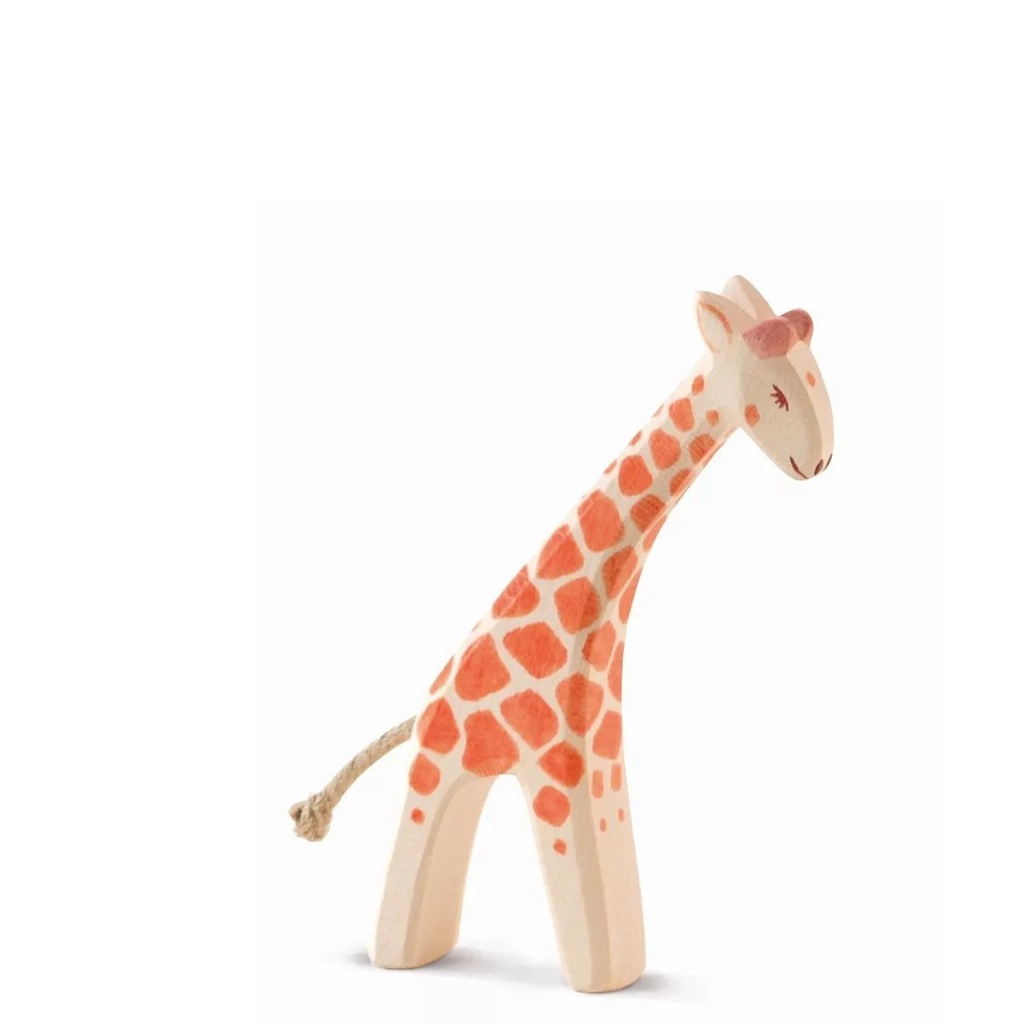 Giraffe small head low