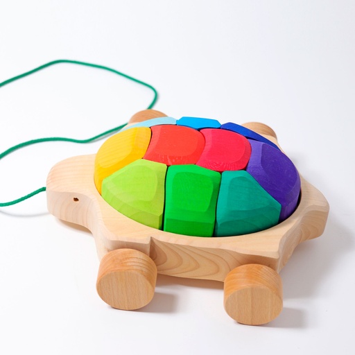 [09011] Rainbow Turtle