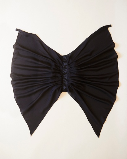 Bat Wings