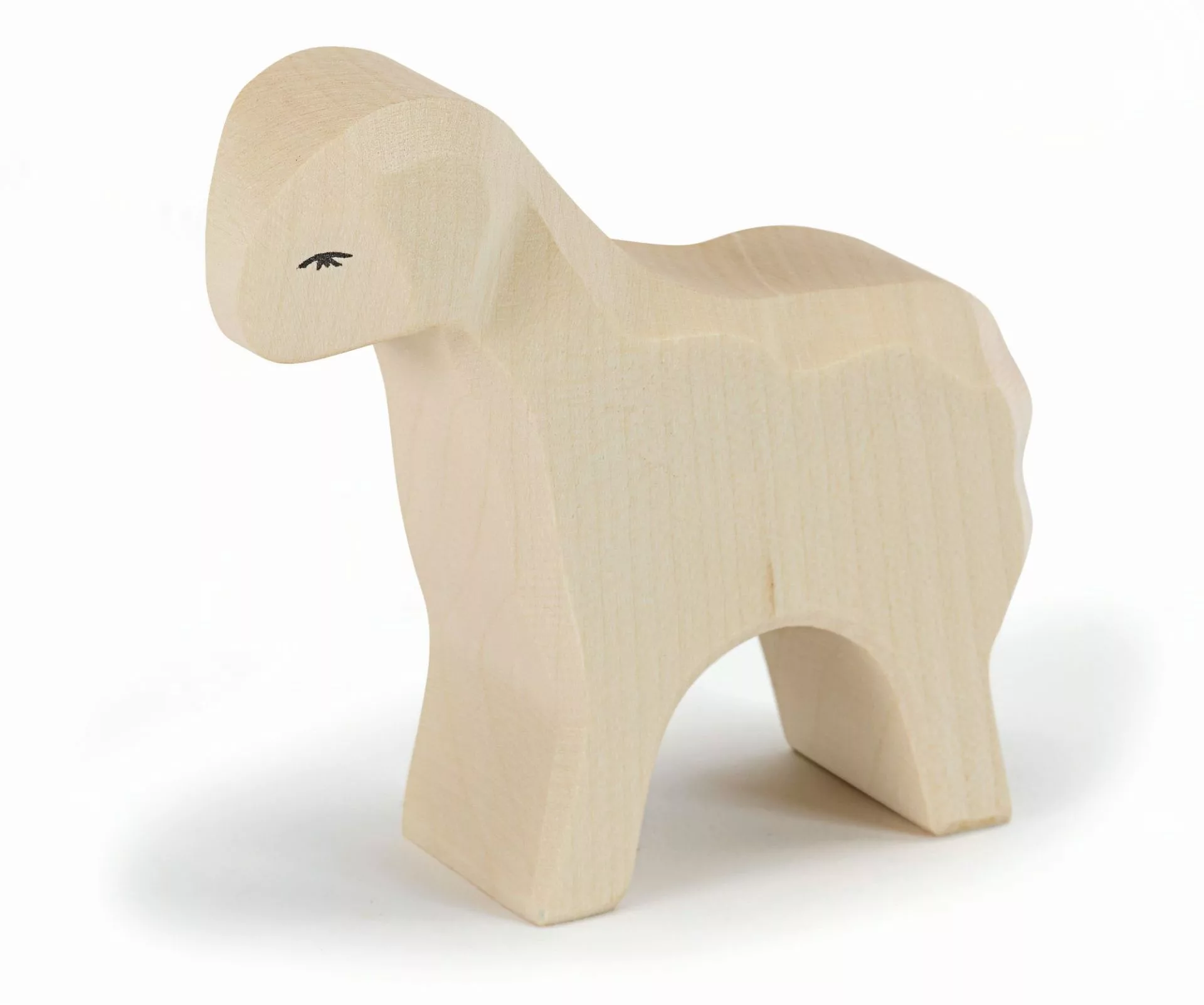 [11602] Sheep standing
