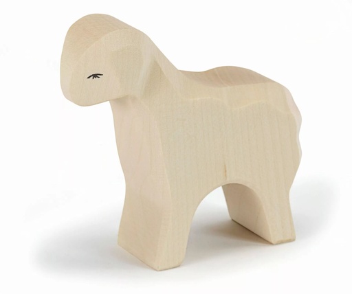 [11602] Sheep standing