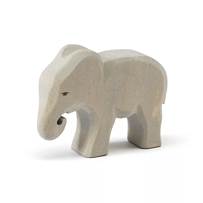 [20423] Elephant small eating