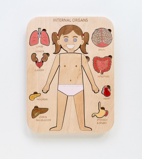 Internal Organs Puzzle (Girl)