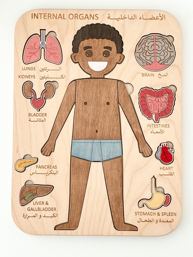 Internal Organs Puzzle (Brown Boy)