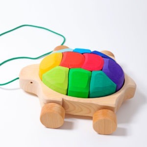 Rainbow Turtle