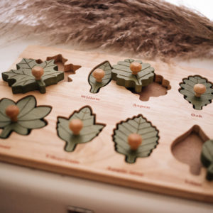 Montessori Leaf Puzzle