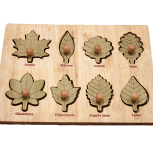 Montessori Leaf Puzzle