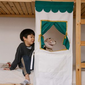 Avdar Play Curtain