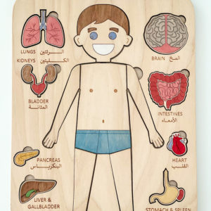 Internal Organs Puzzle (Boy)