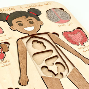 Internal Organs Puzzle (Girl)