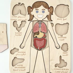 Internal Organs Puzzle (Girl)