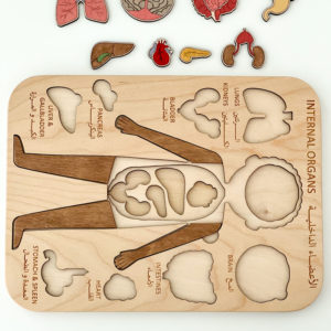 Internal Organs Puzzle (Boy)