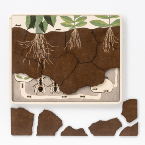 Anthill Puzzle