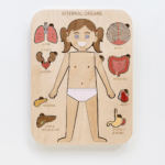 Internal Organs Puzzle (Girl)