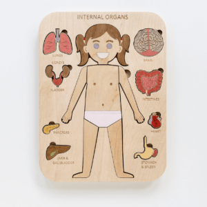 Internal Organs Puzzle (Girl)