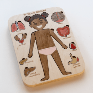 Internal Organs Puzzle (Girl)