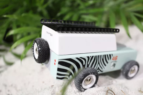Drifter Zebra - Image 5