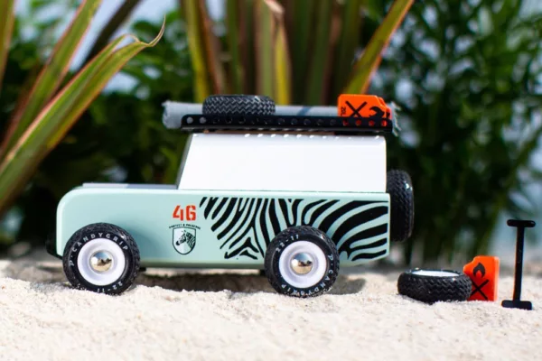 Drifter Zebra - Image 7