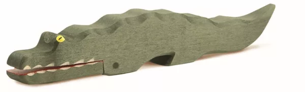 Crocodile