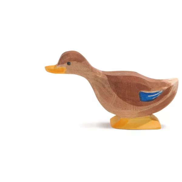 Duck long neck