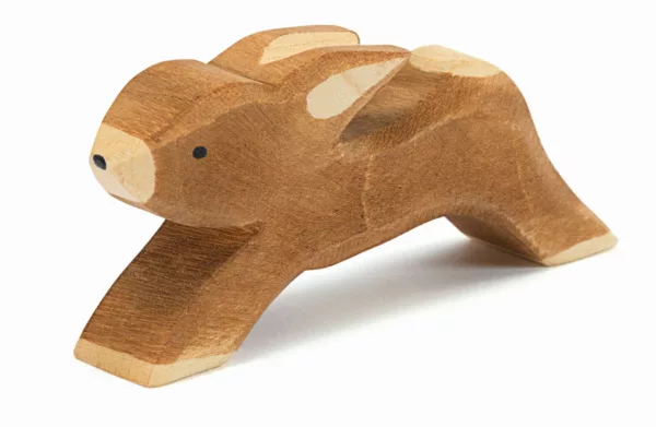 Rabbit running