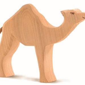 Dromedary