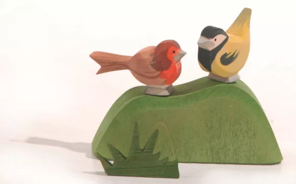 Robin - Image 3