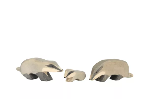 Badger head down - Image 3