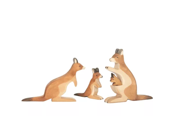 Kangaroo Father - Image 2